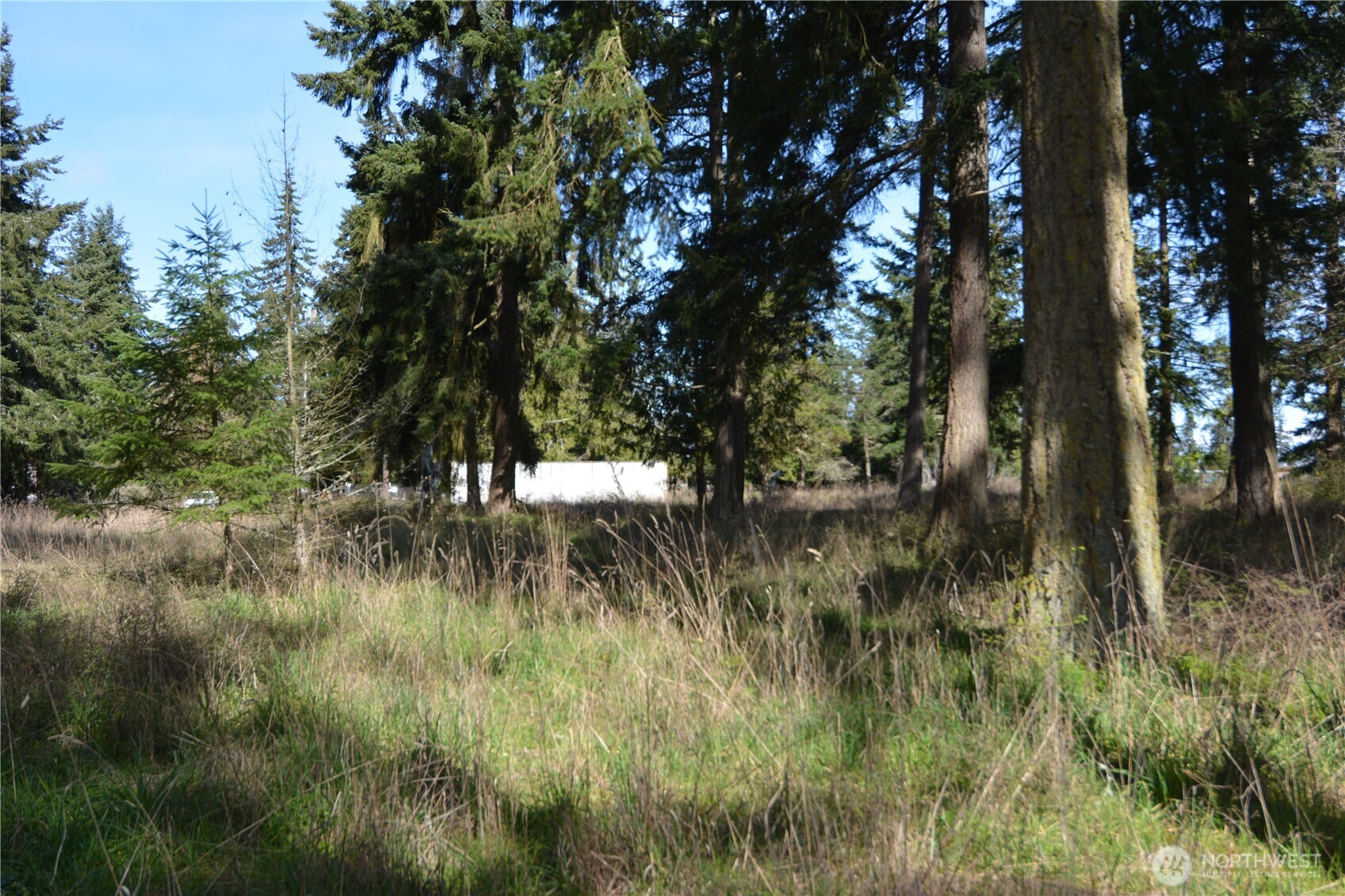 999 W Silberhorn Sequim WA 98382