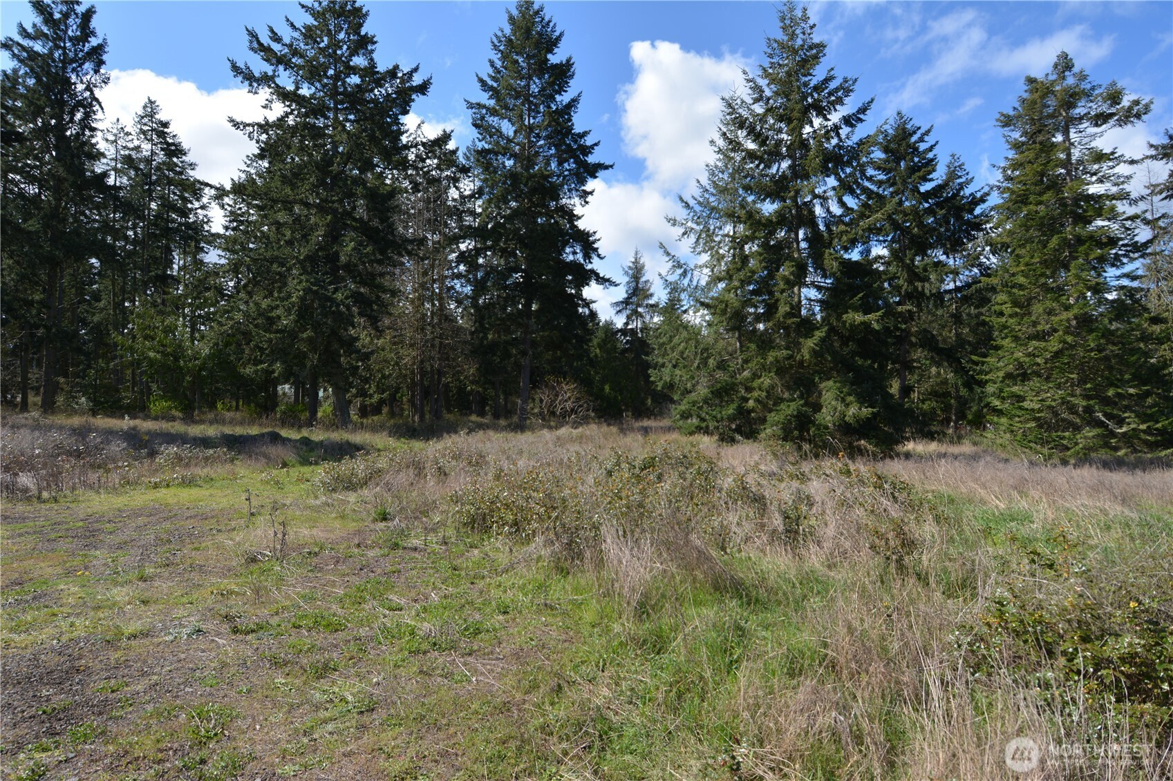 999 W Silberhorn Sequim WA 98382