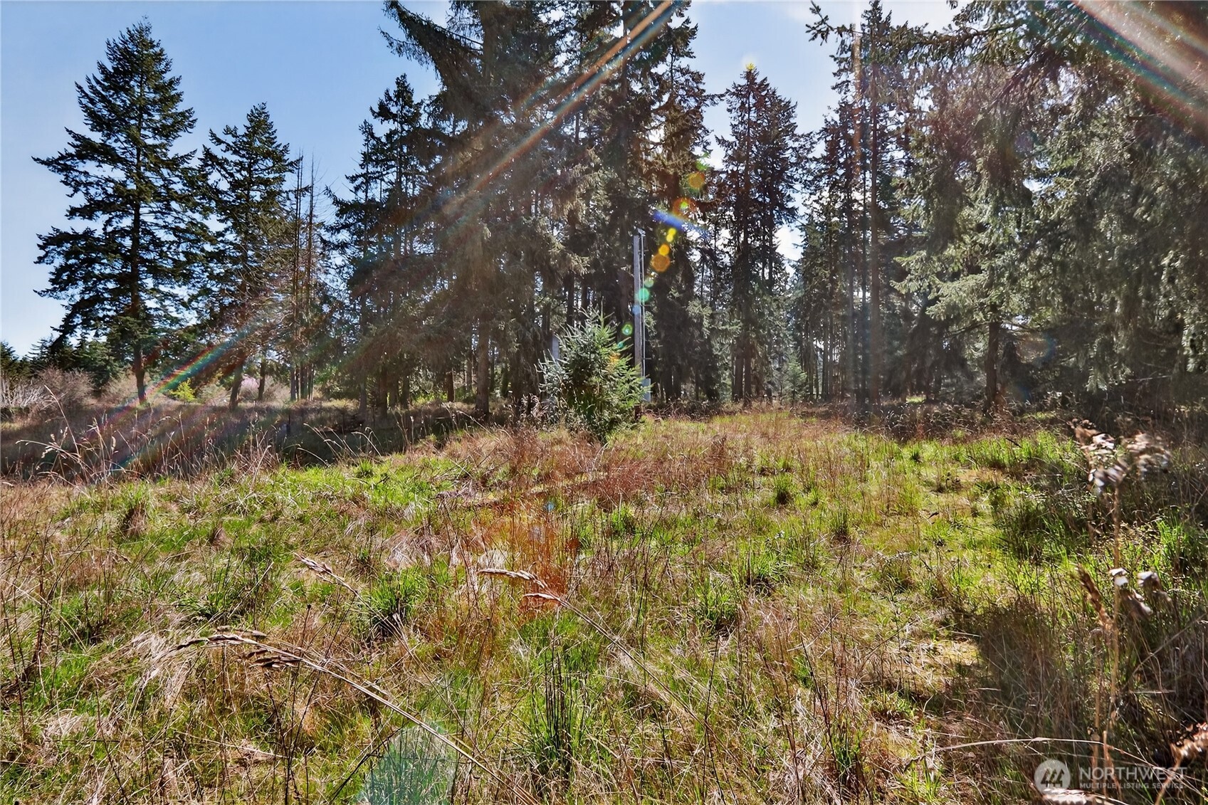 999 W Silberhorn Sequim WA 98382