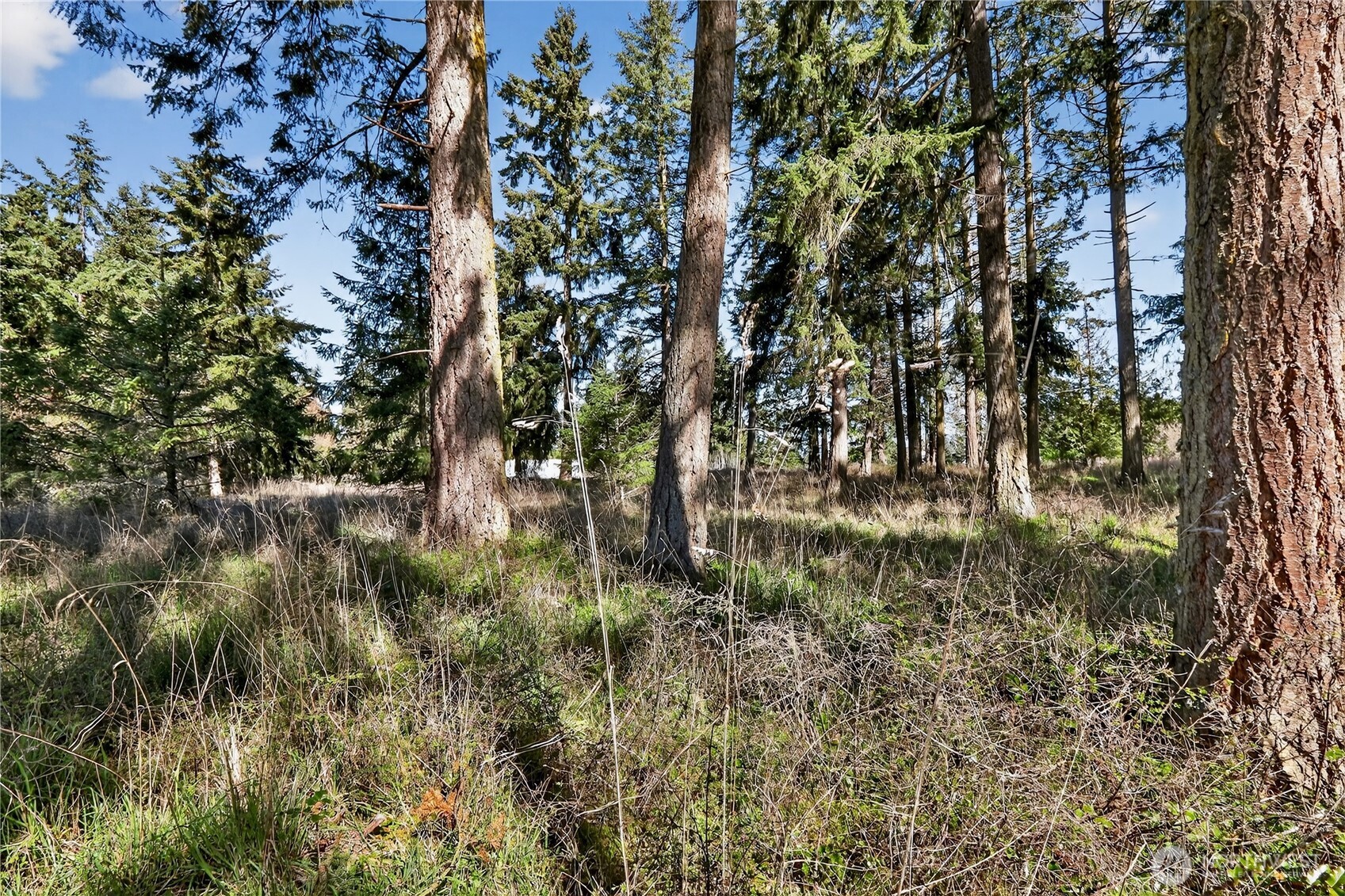 999 W Silberhorn Sequim WA 98382