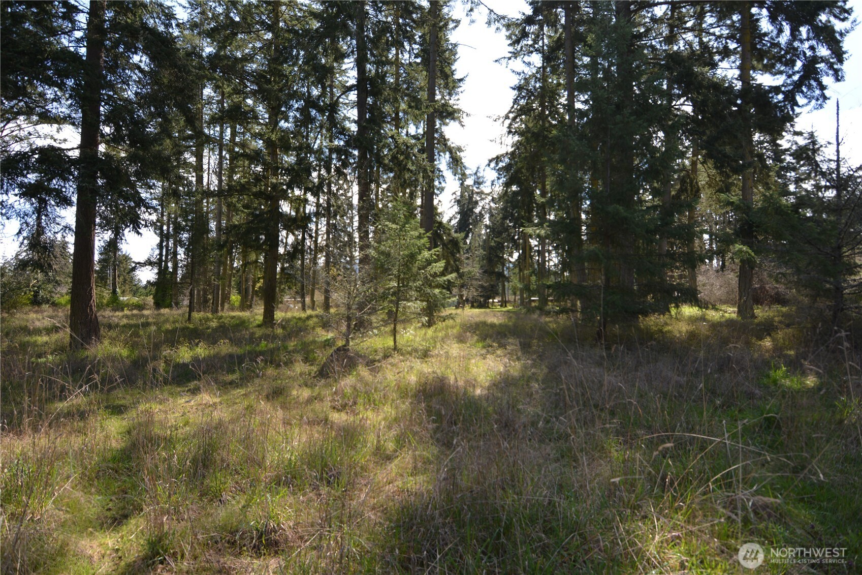 999 W Silberhorn Sequim WA 98382
