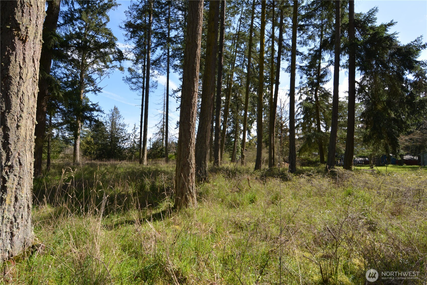 999 W Silberhorn Sequim WA 98382