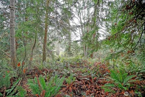 0 S Camano Drive Camano Island WA 98282