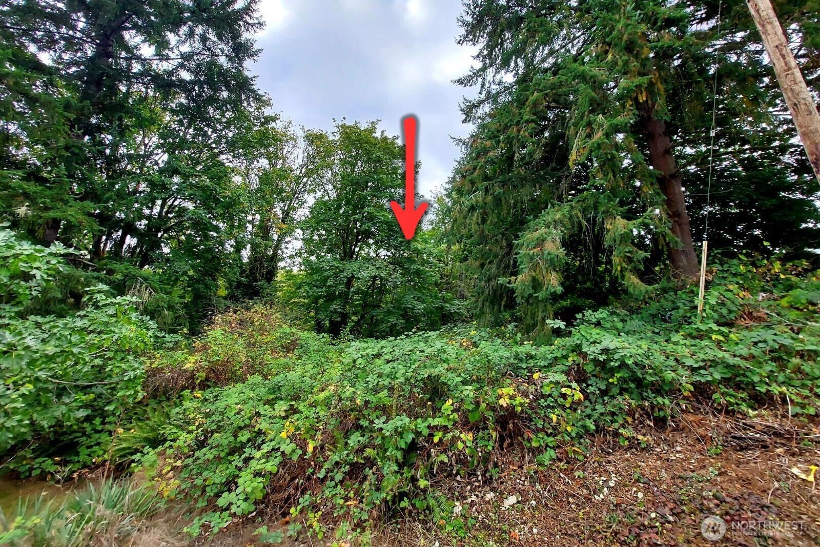 0 Lot C Melcher Street Port Orchard WA 98366