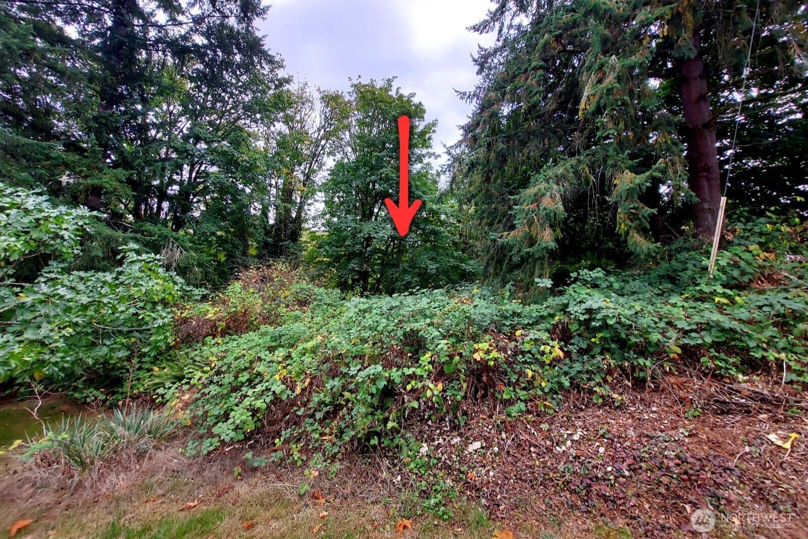 0 Lot C Melcher Street Port Orchard WA 98366