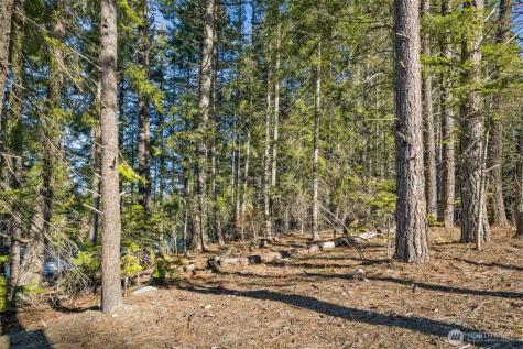 7 Tumble Creek Drive Cle Elum WA 98922