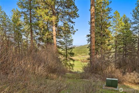 250 Fir Tree Drive Cle Elum WA 98922