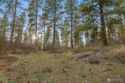 250 Fir Tree Drive Cle Elum WA 98922