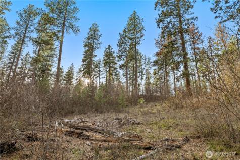 250 Fir Tree Drive Cle Elum WA 98922