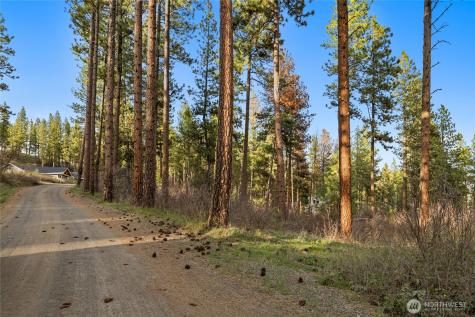 250 Fir Tree Drive Cle Elum WA 98922