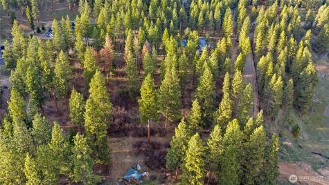 250 Fir Tree Drive Cle Elum WA 98922