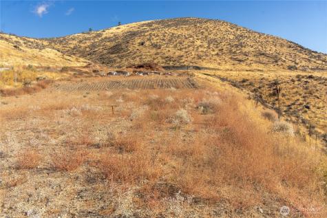 925 Long Drive Chelan WA 98816