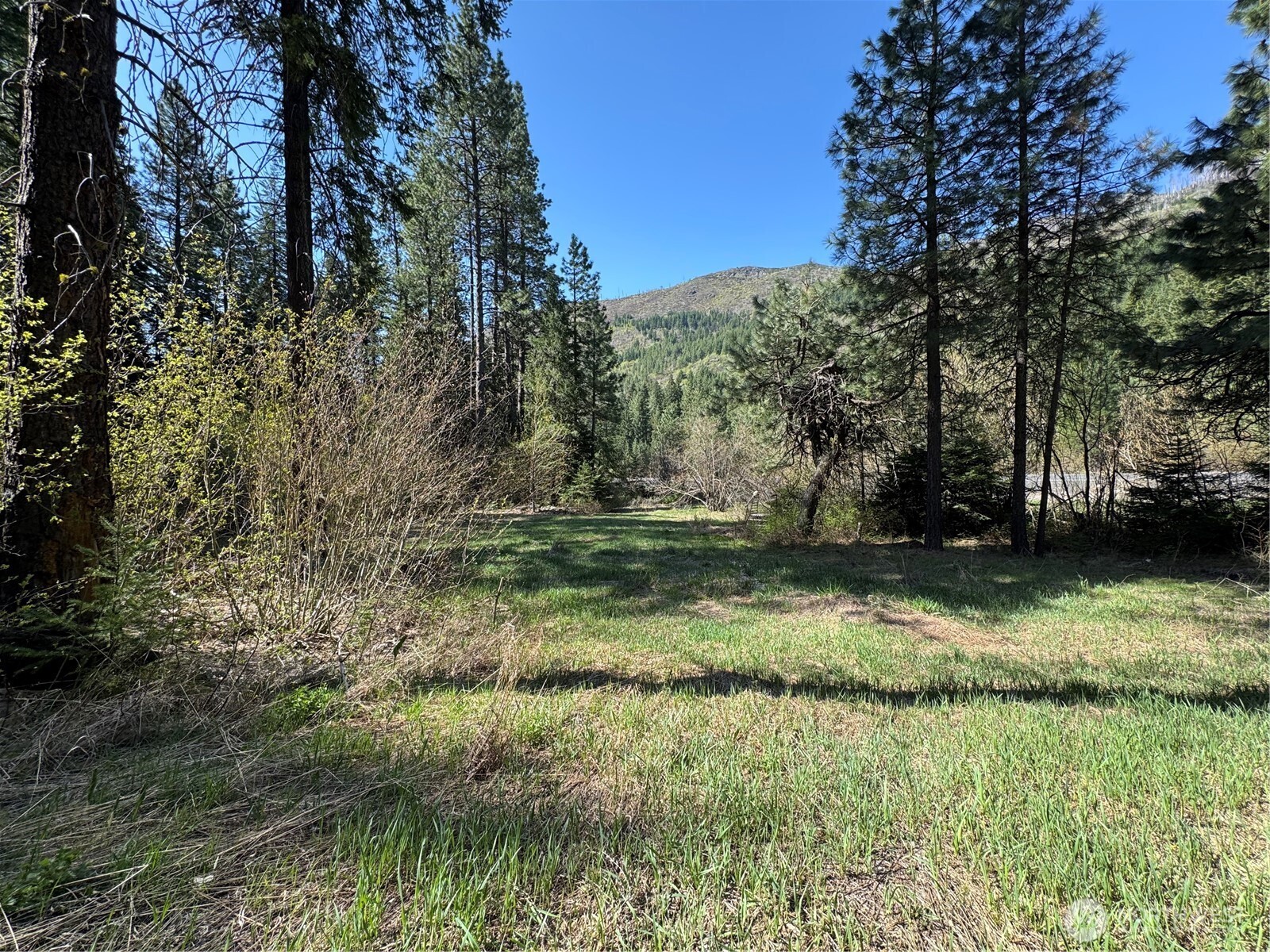 0 Us 2 Lake Wenatchee WA 98826