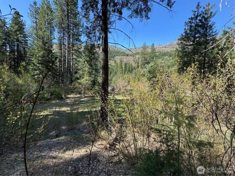 0 Us 2 Lake Wenatchee WA 98826