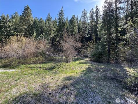 0 Us 2 Lake Wenatchee WA 98826
