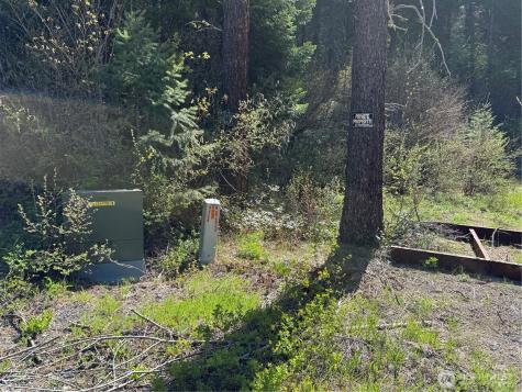 0 Us 2 Lake Wenatchee WA 98826