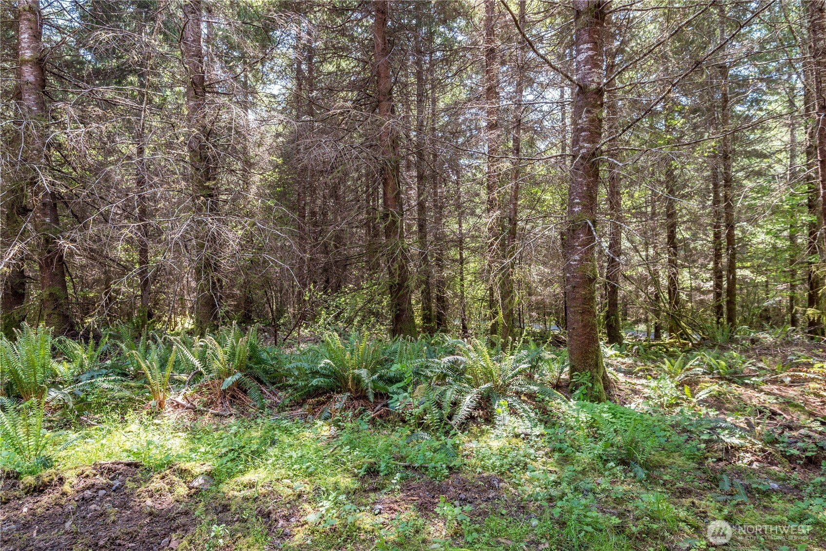 0 Orion Longview WA 98632
