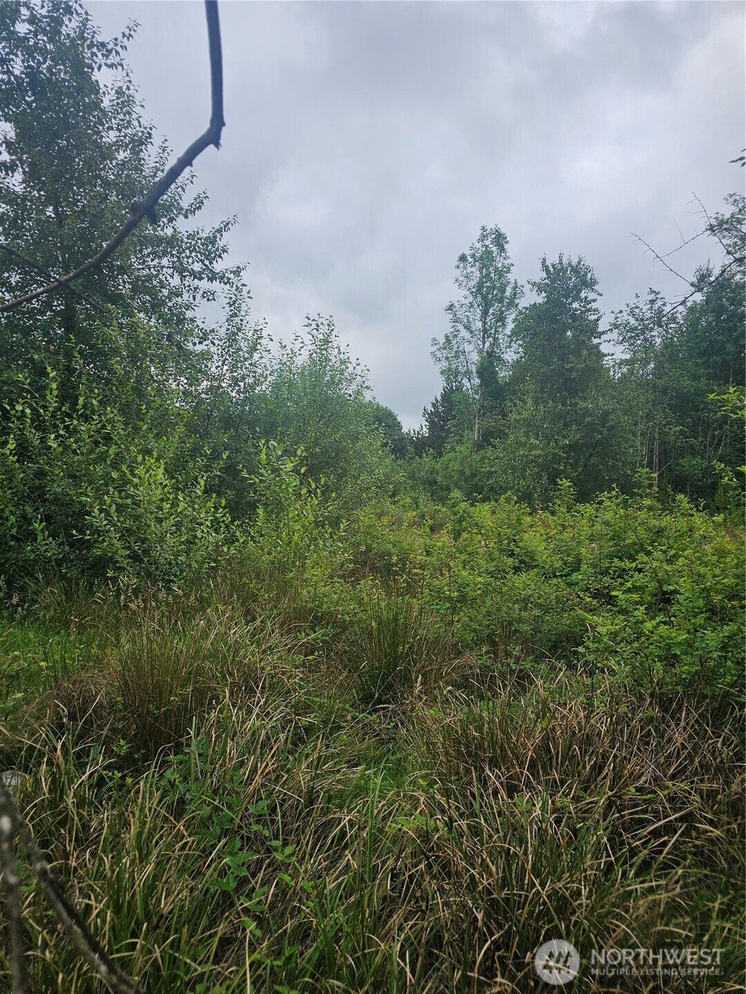 565 Oyler Road Ethel WA 98542