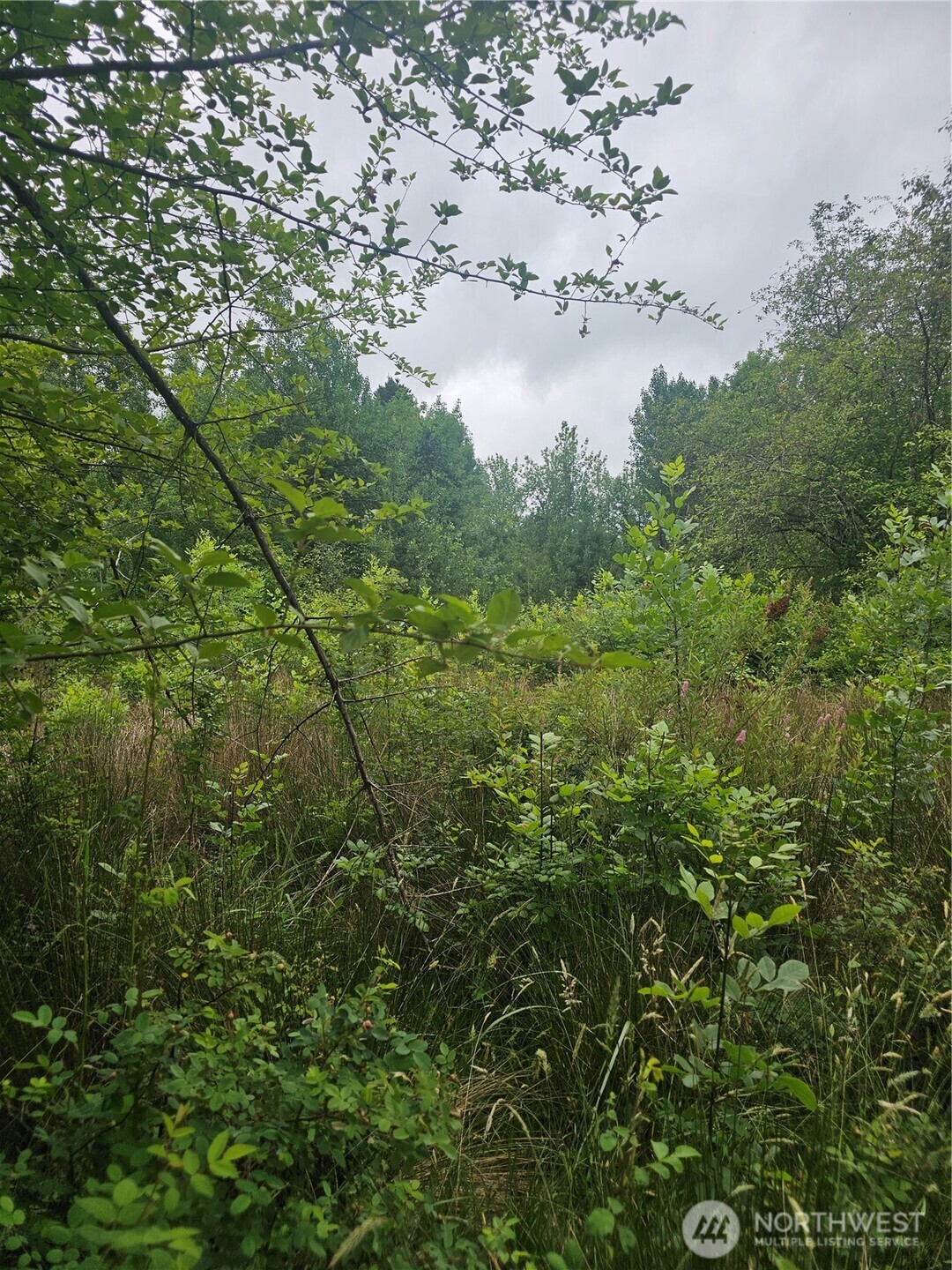 565 Oyler Road Ethel WA 98542