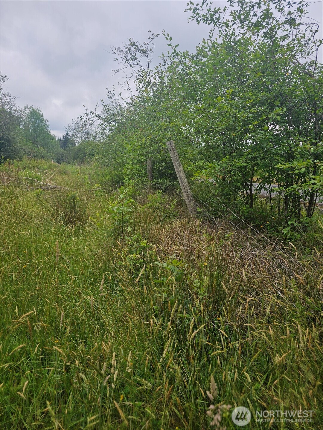 565 Oyler Road Ethel WA 98542
