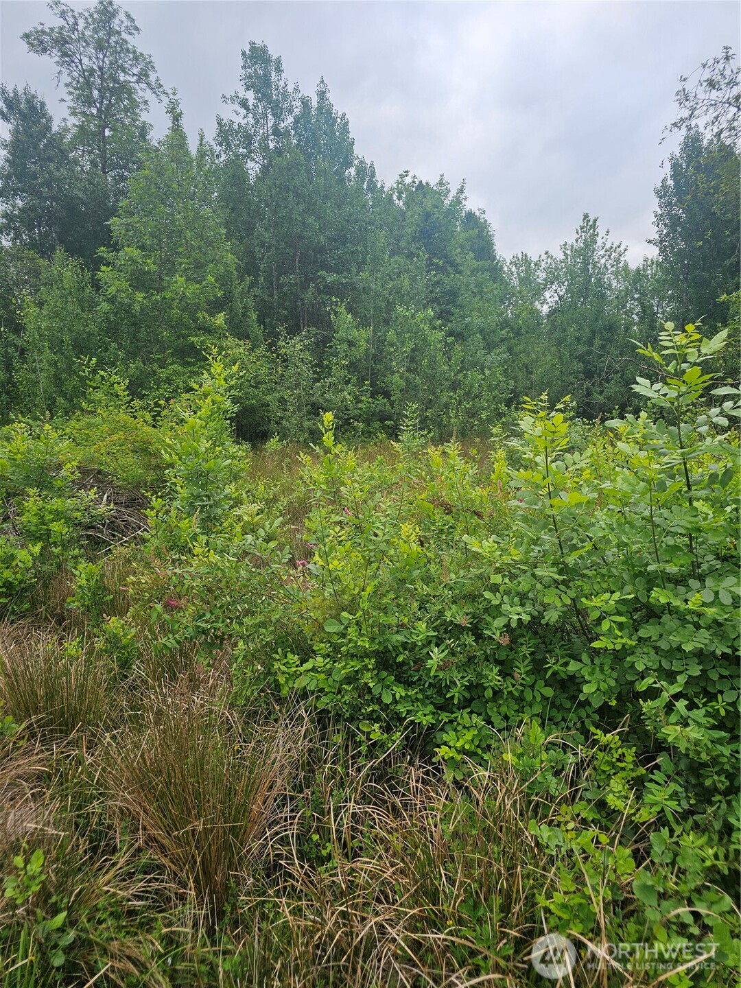 565 Oyler Road Ethel WA 98542