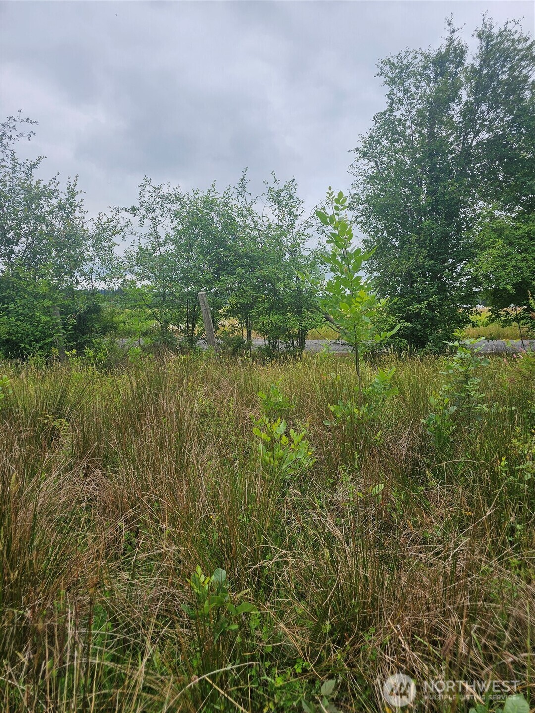 565 Oyler Road Ethel WA 98542
