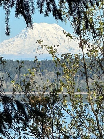 10911 Seaview Drive Anderson Island WA 98303