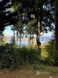 10911 Seaview Drive Anderson Island WA 98303