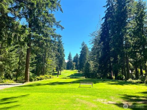 10911 Seaview Drive Anderson Island WA 98303