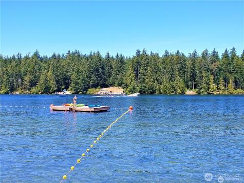 10911 Seaview Drive Anderson Island WA 98303