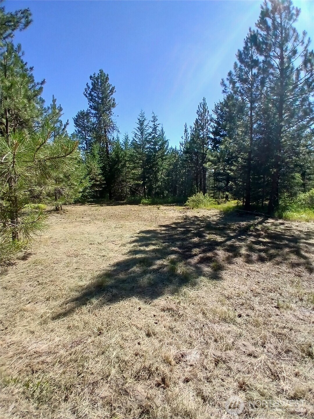 38 Broser Way W Tonasket WA 98855