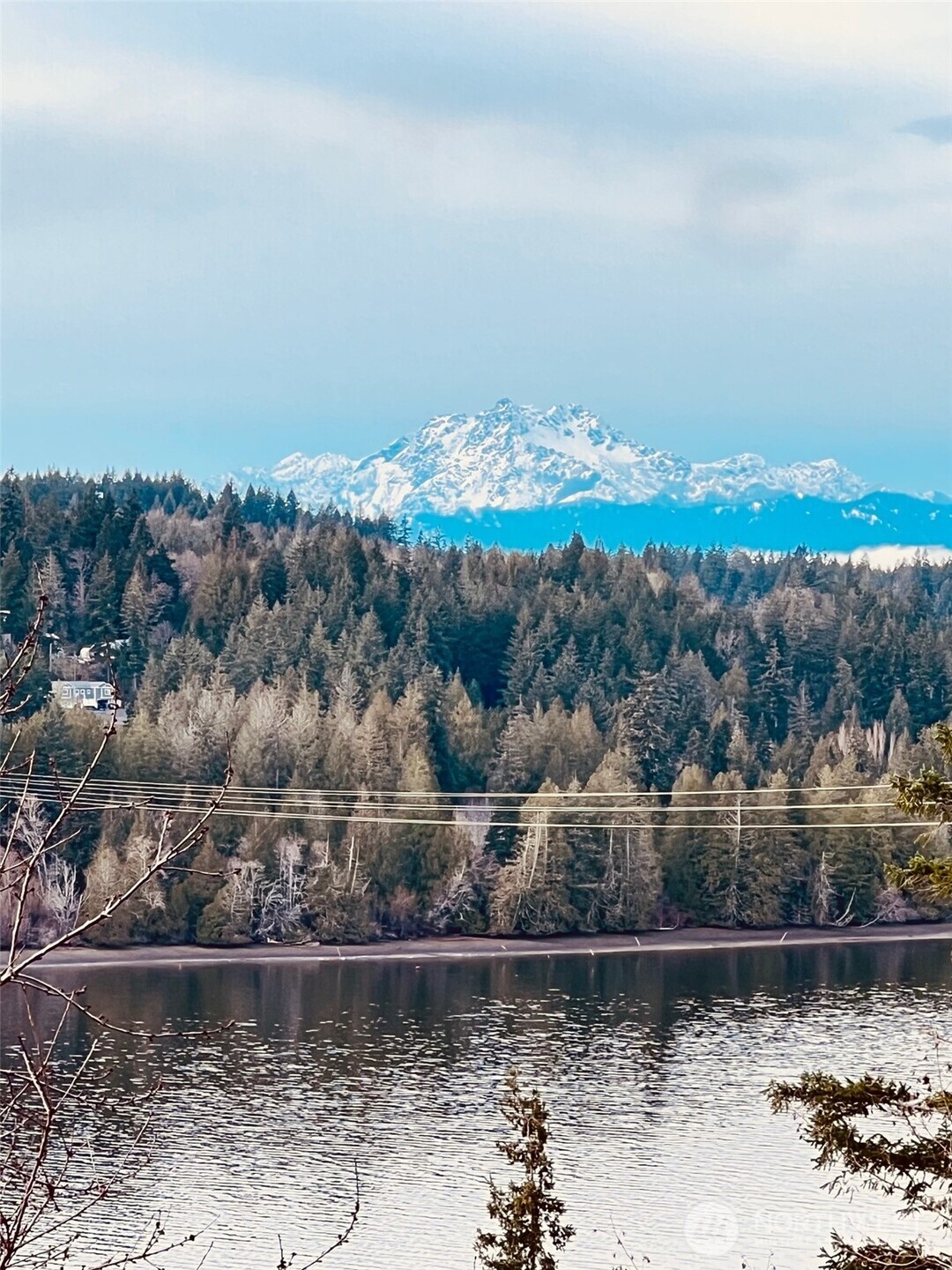 3841 E State Route 302 Belfair WA 98528