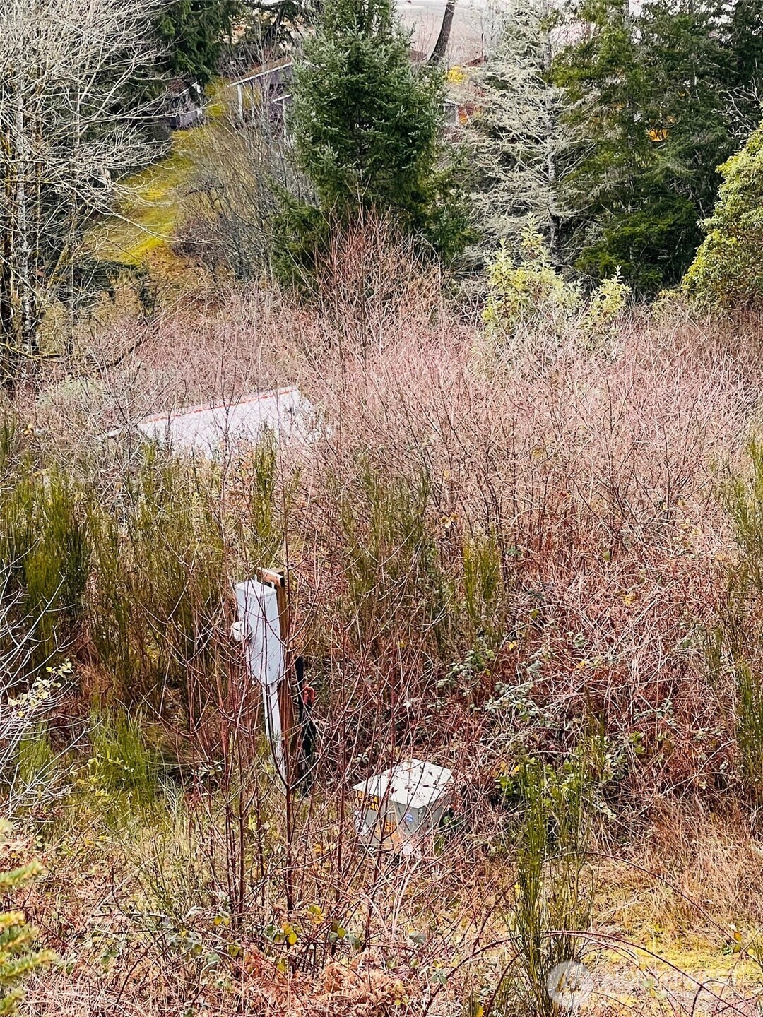 3841 E State Route 302 Belfair WA 98528