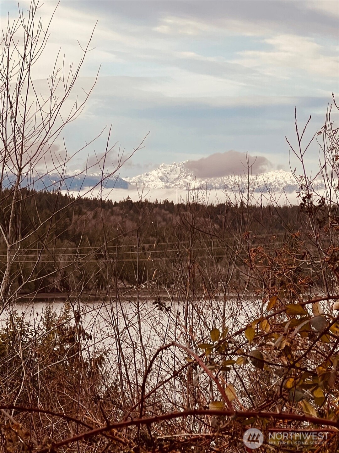3841 E State Route 302 Belfair WA 98528