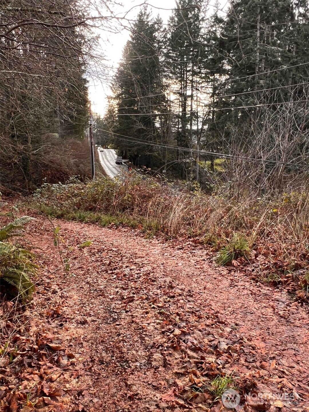 3841 E State Route 302 Belfair WA 98528