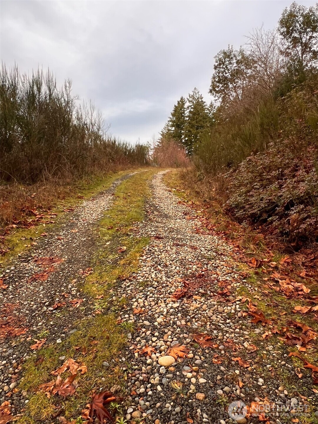 3841 E State Route 302 Belfair WA 98528