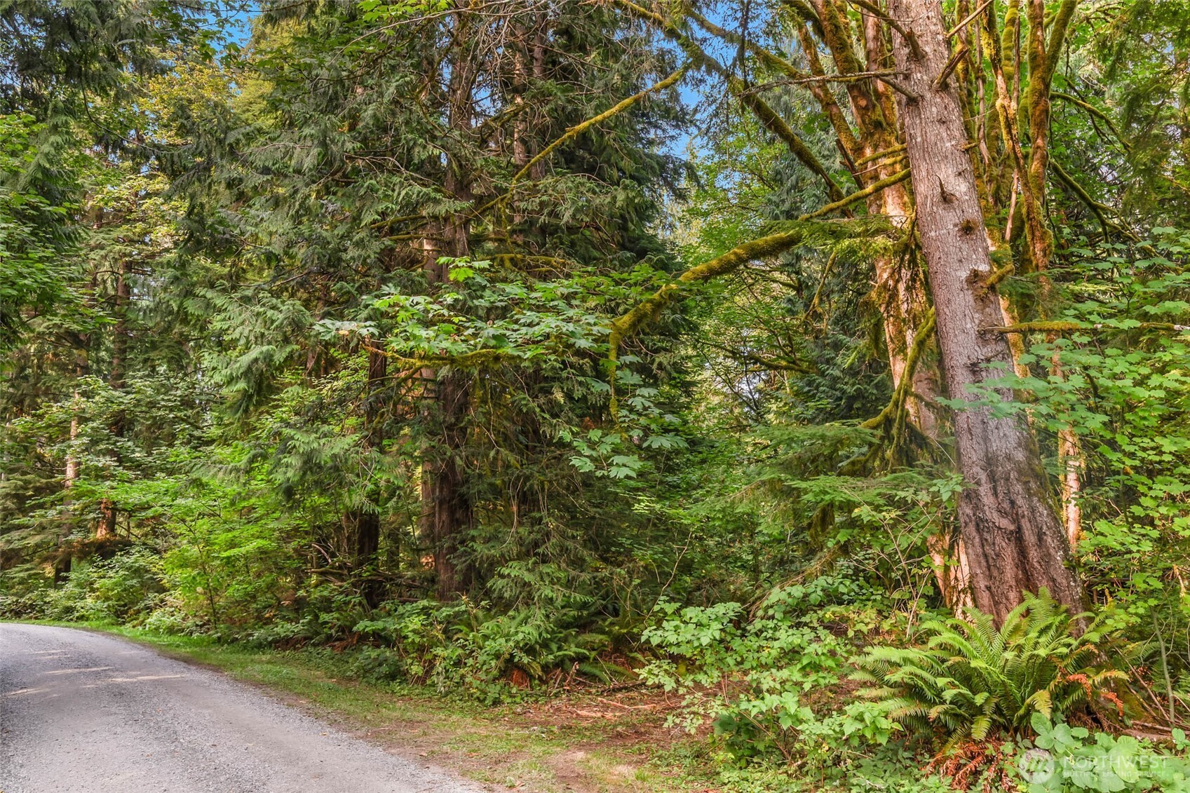28021 120th Street SE Monroe WA 98272