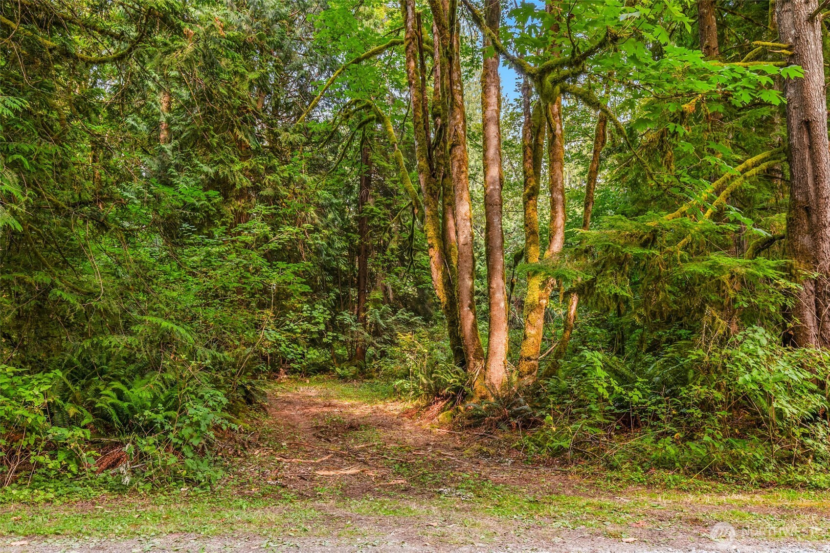 28021 120th Street SE Monroe WA 98272