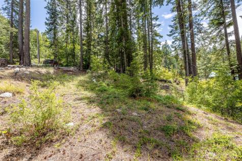 22660 Alpine Drive Leavenworth WA 98826