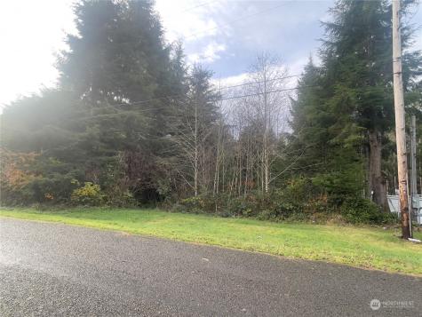 0 Nelson Copalis Beach WA 98535