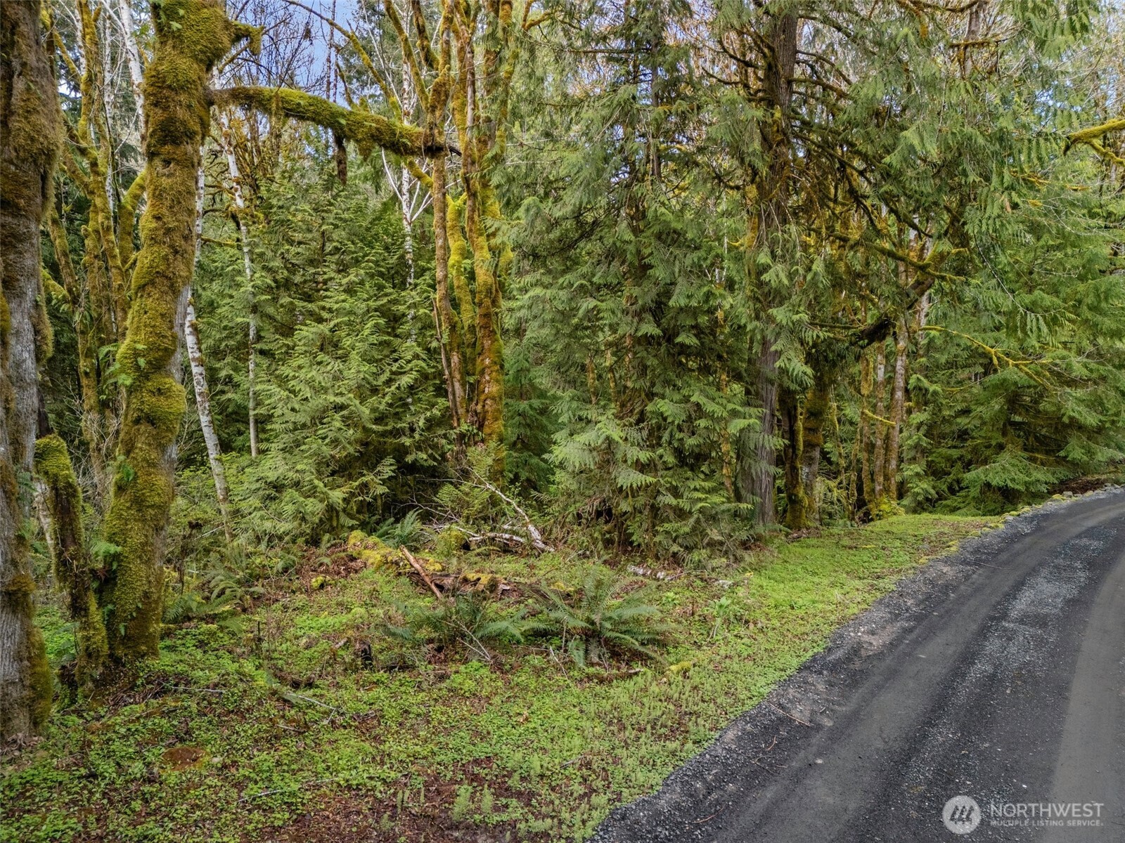 4 SE Sea Der Hok Lane Shelton WA 98584
