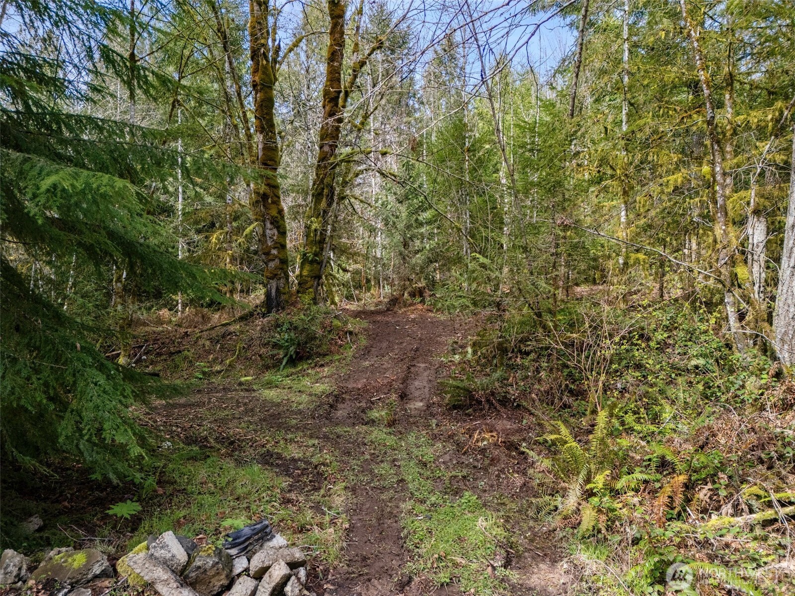 4 SE Sea Der Hok Lane Shelton WA 98584