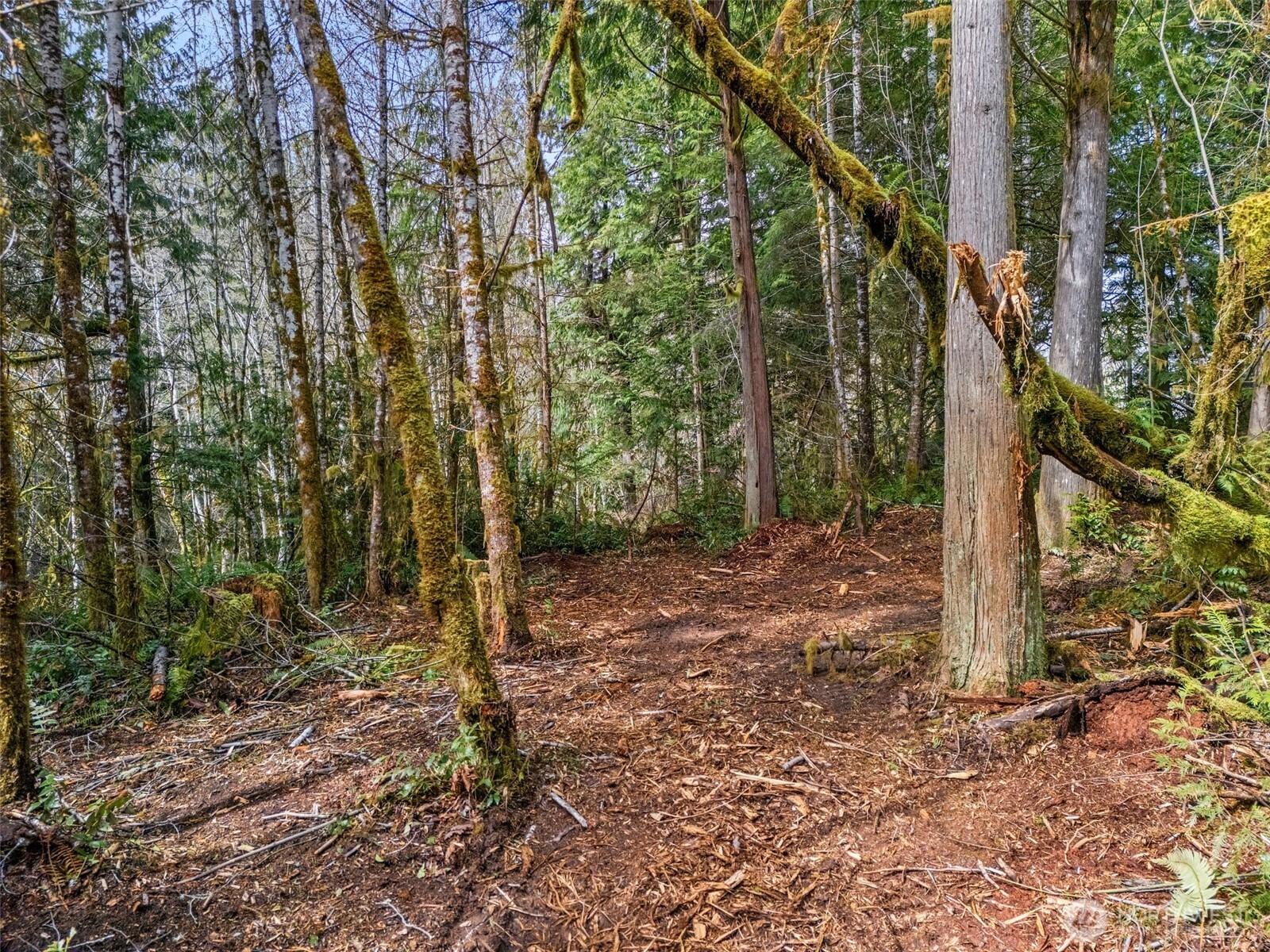 4 SE Sea Der Hok Lane Shelton WA 98584