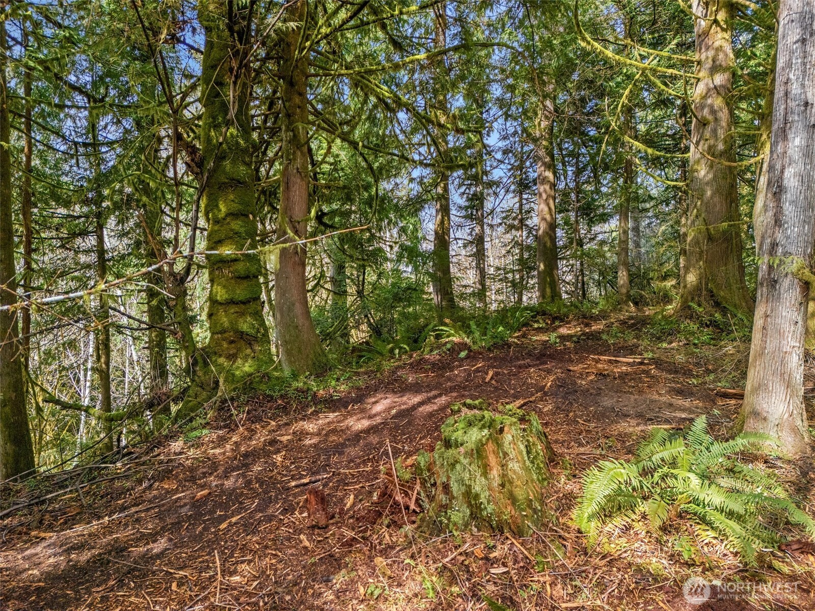 4 SE Sea Der Hok Lane Shelton WA 98584