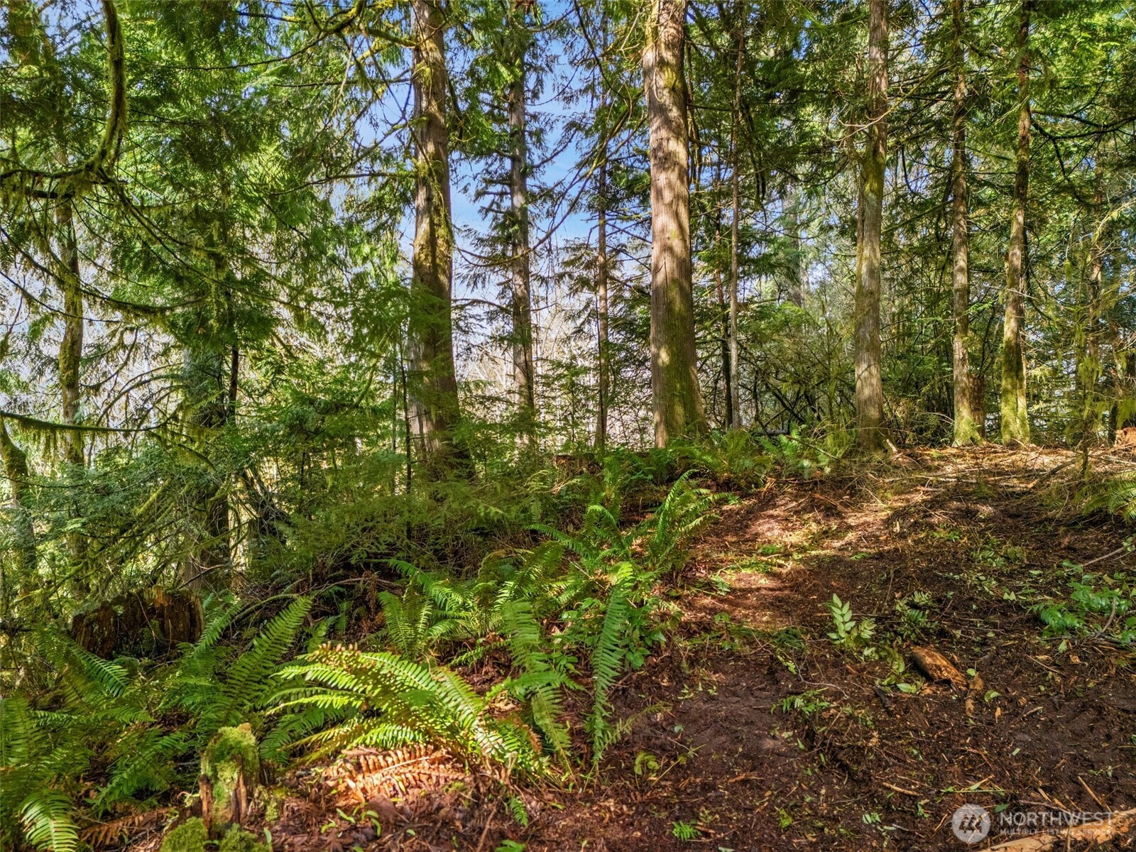 4 SE Sea Der Hok Lane Shelton WA 98584