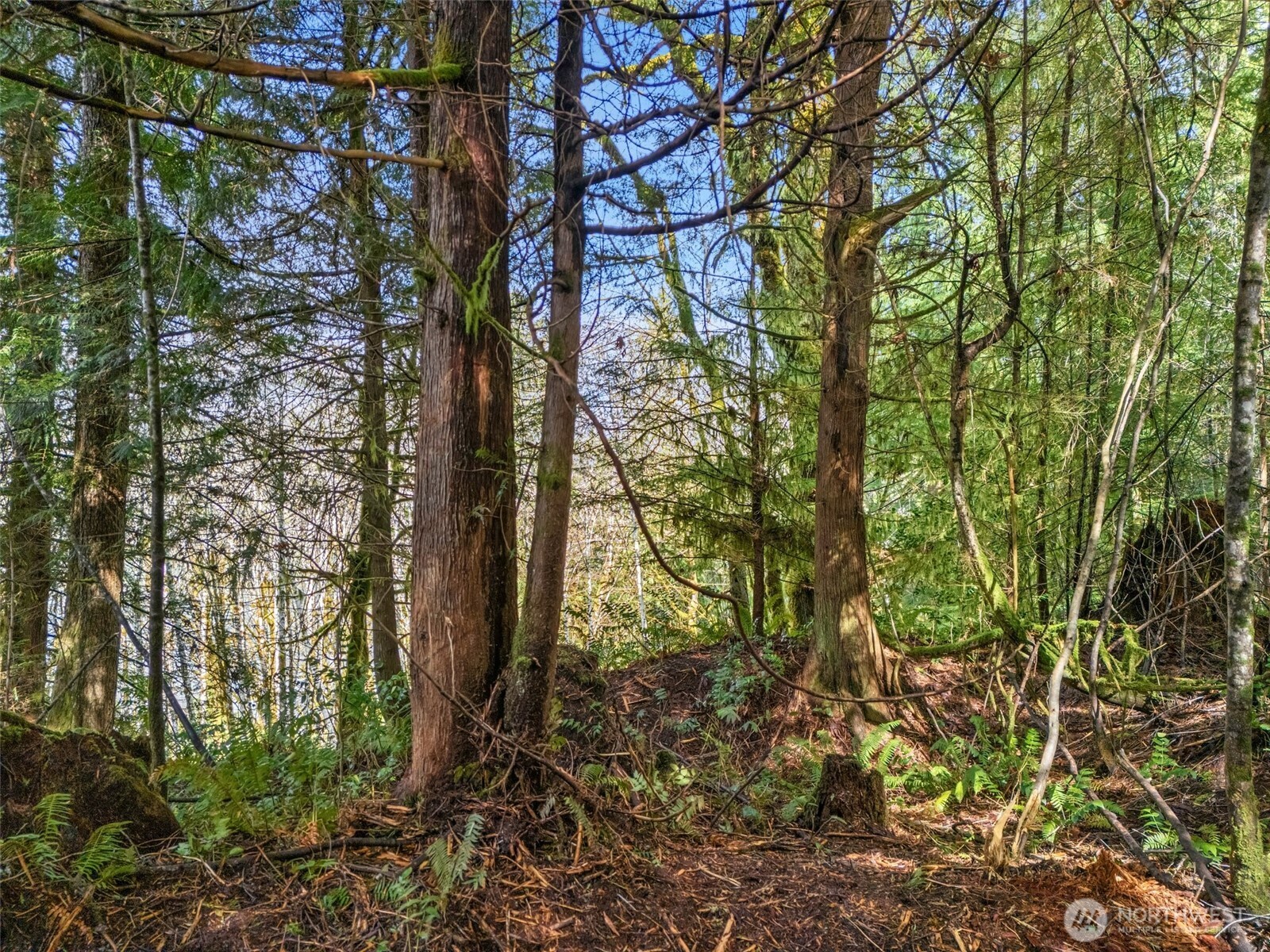 4 SE Sea Der Hok Lane Shelton WA 98584