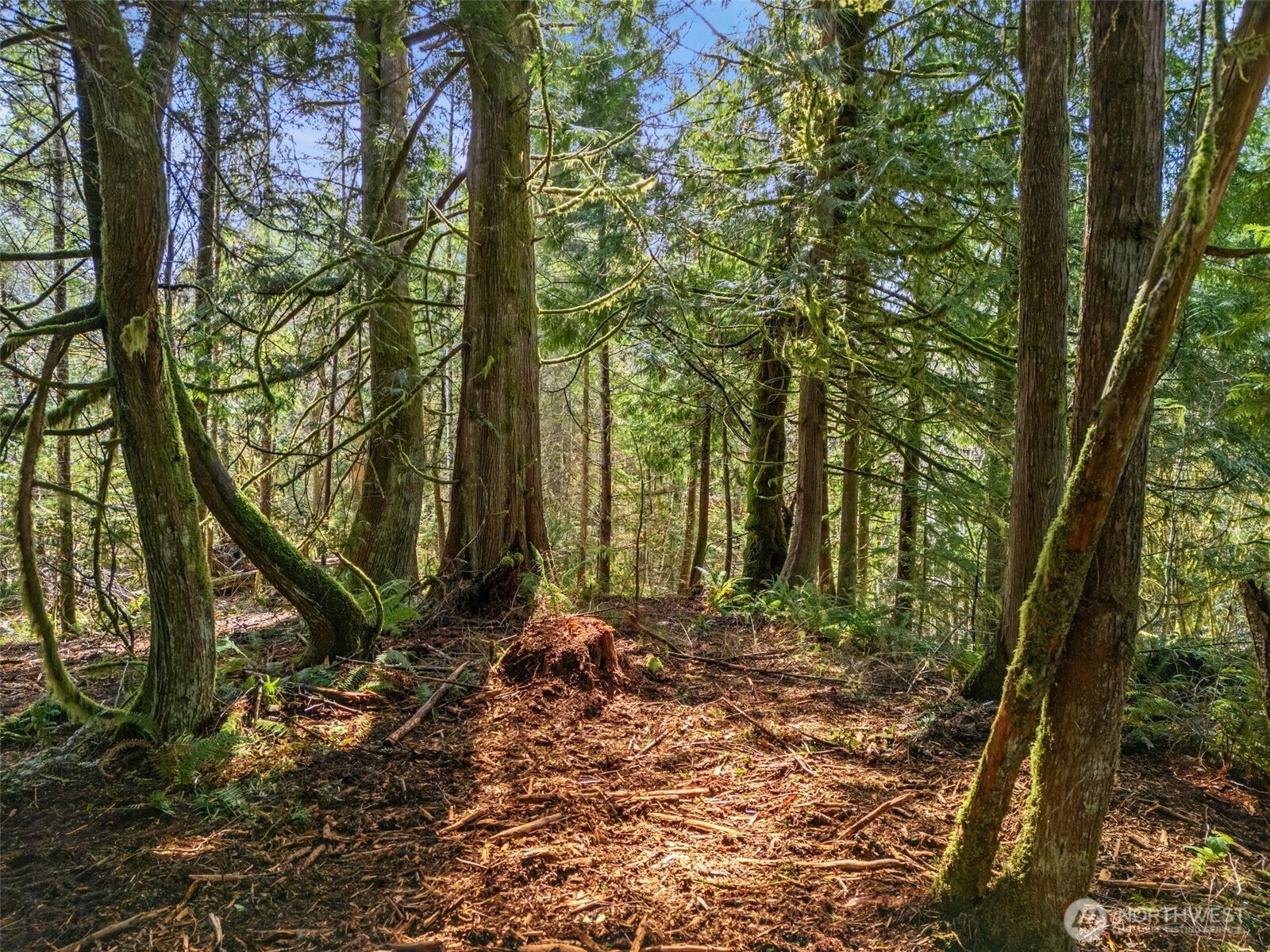 4 SE Sea Der Hok Lane Shelton WA 98584