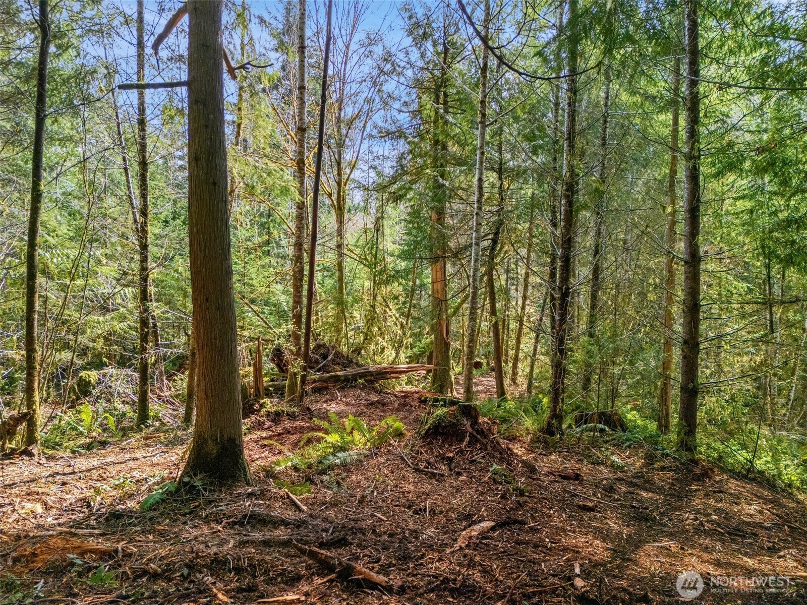4 SE Sea Der Hok Lane Shelton WA 98584