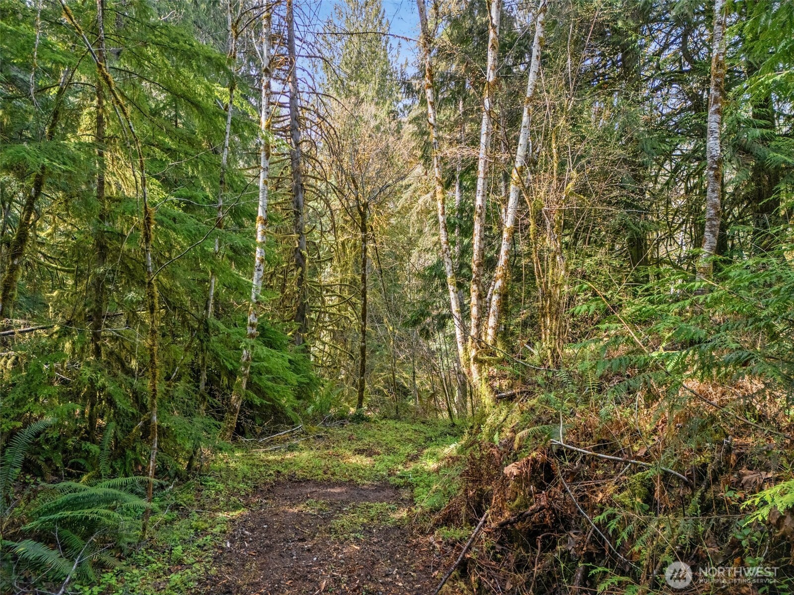 4 SE Sea Der Hok Lane Shelton WA 98584
