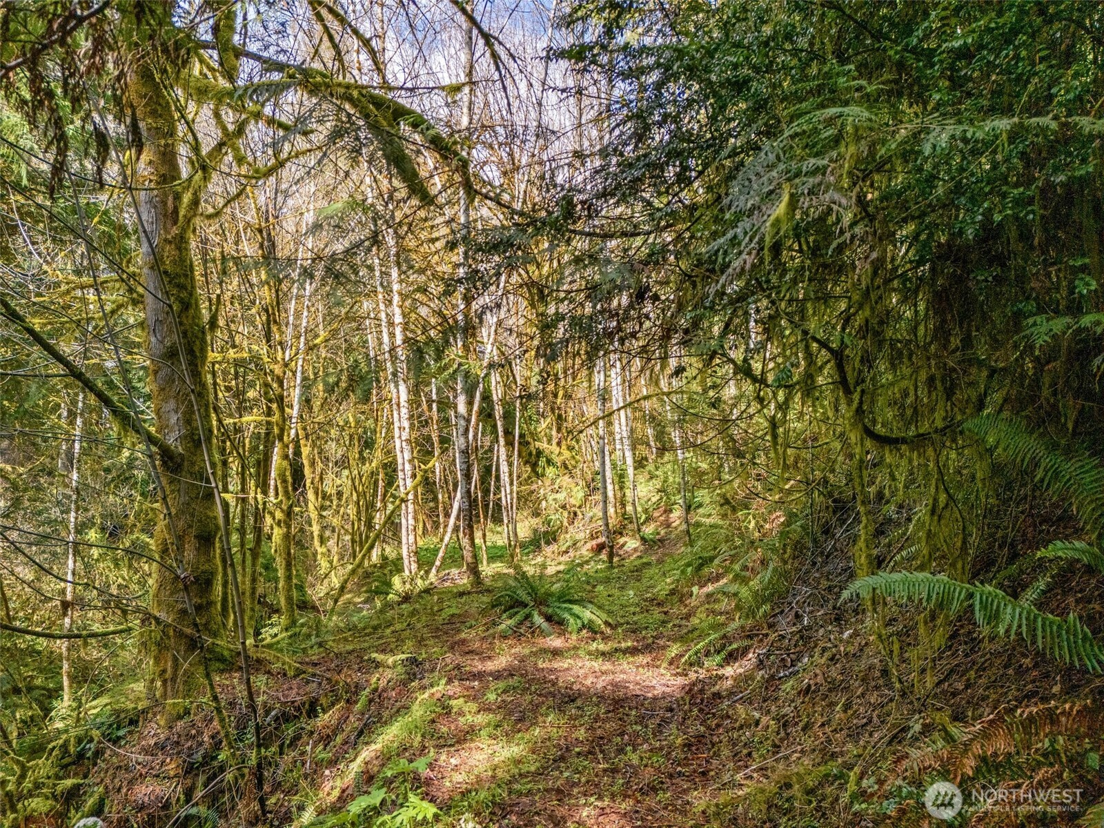 4 SE Sea Der Hok Lane Shelton WA 98584